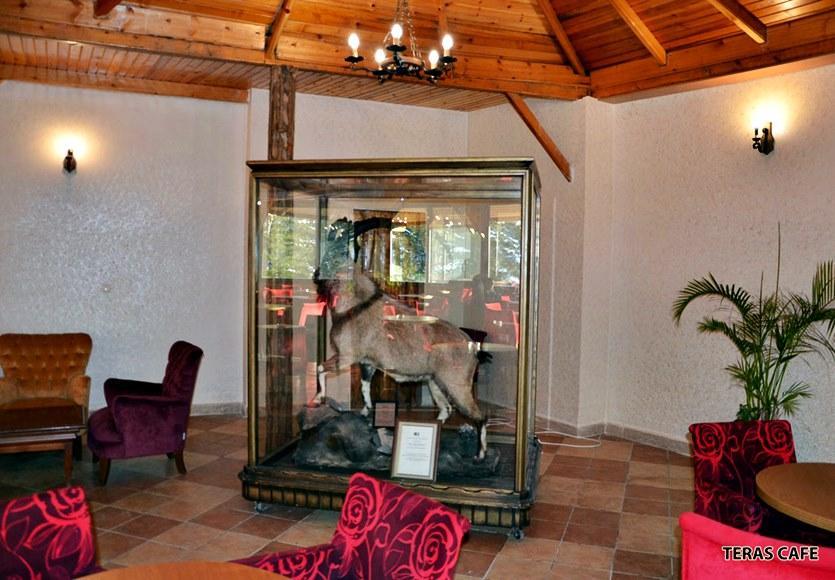 Patalya Thermal Resort Hotel Kizilcahamam Bagian luar foto