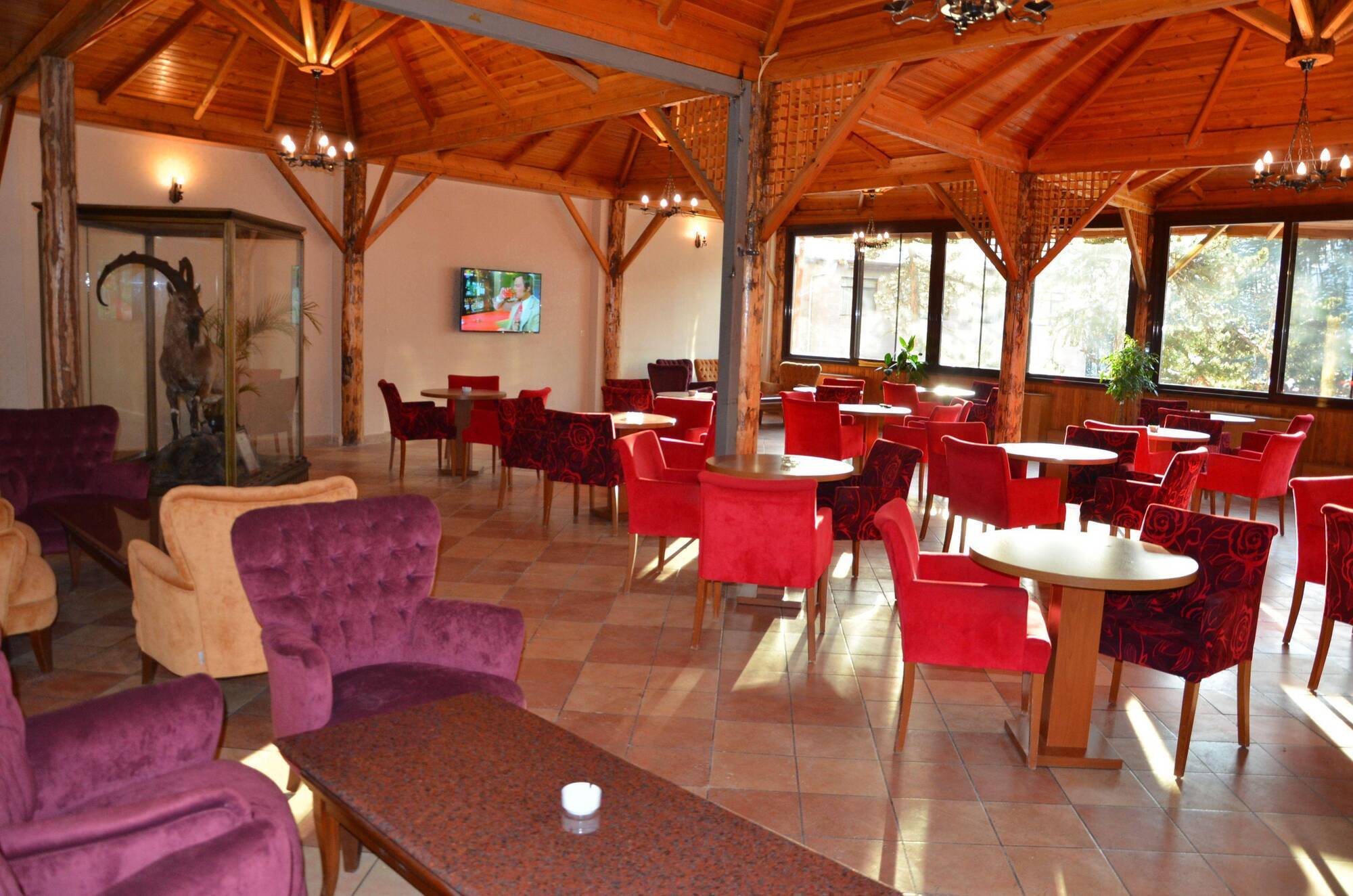 Patalya Thermal Resort Hotel Kizilcahamam Bagian luar foto